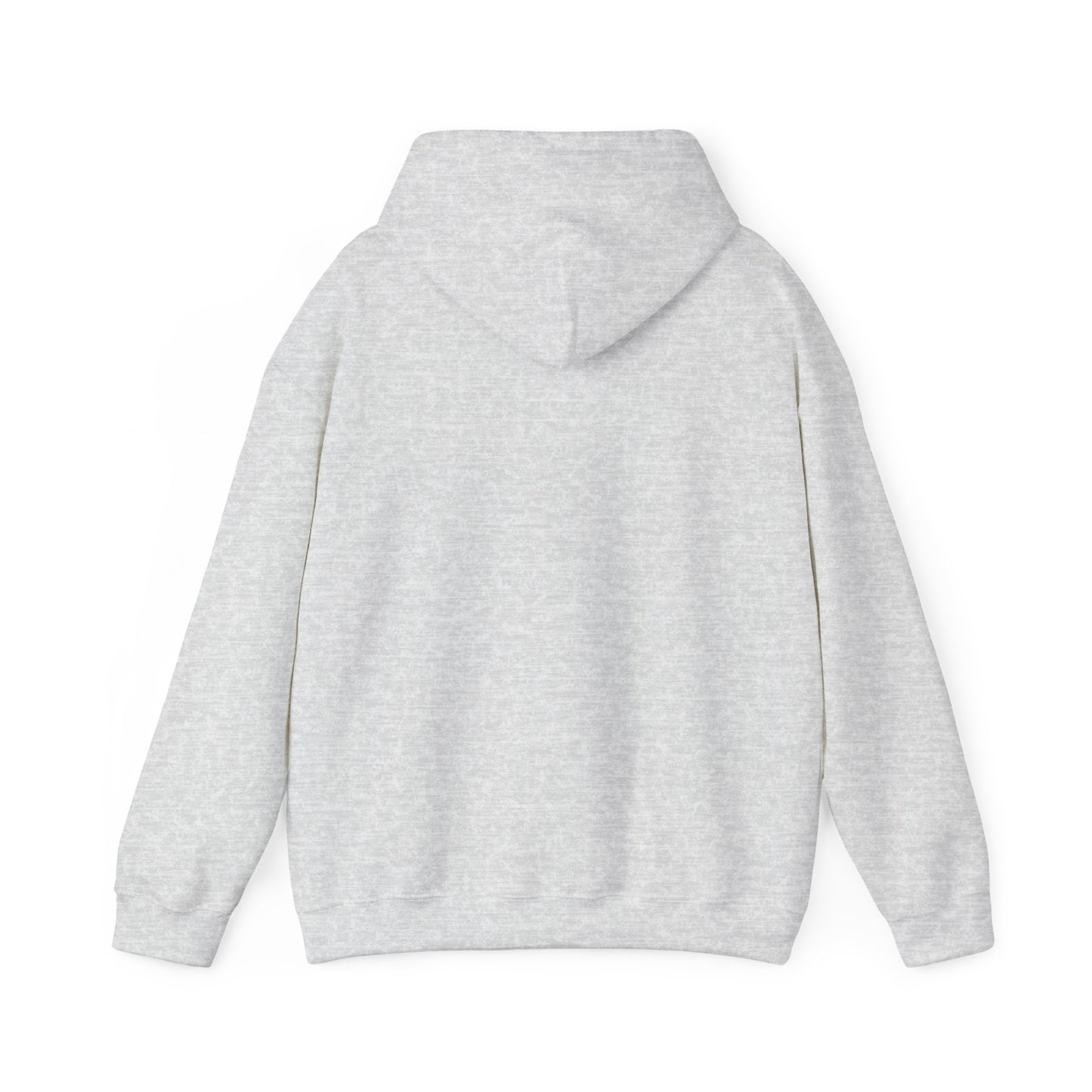 Good News Hooded Sweatshirt Luke 2:10–11