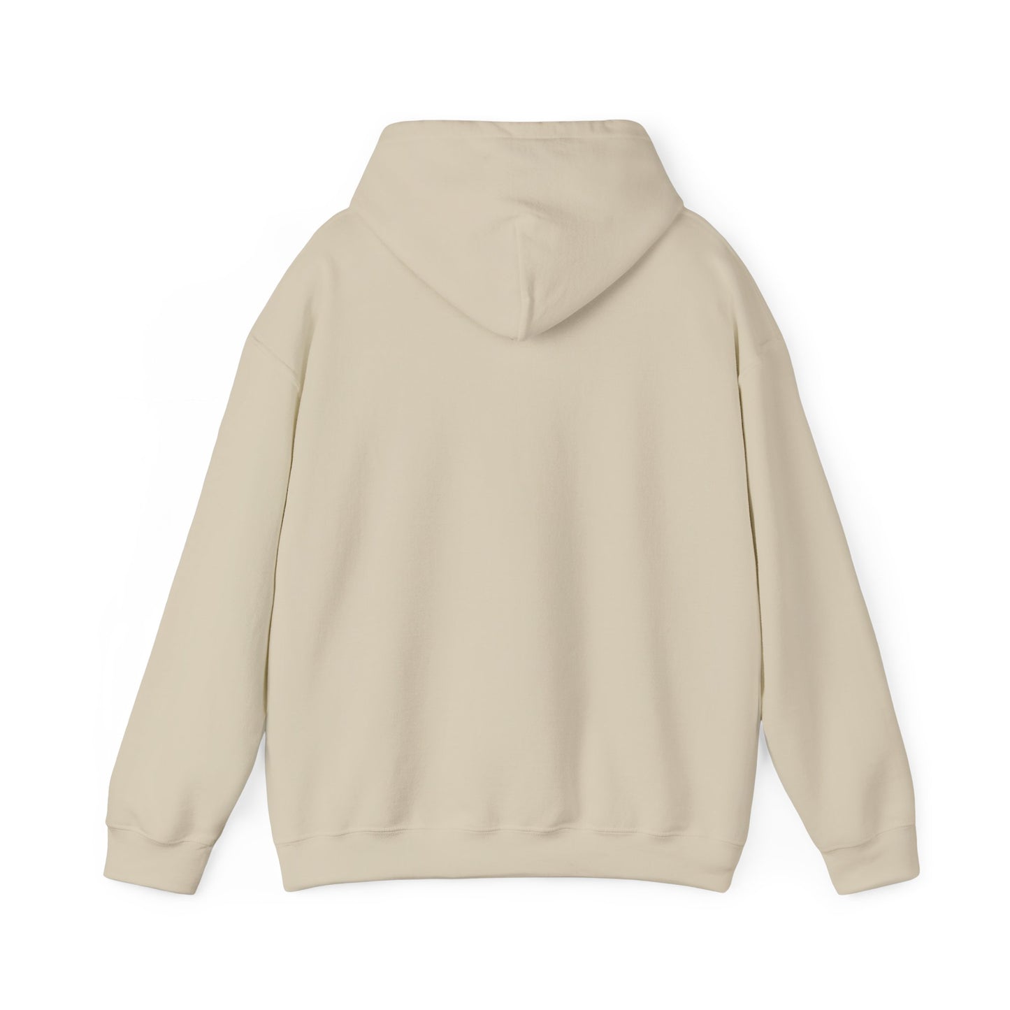 Good News Hooded Sweatshirt Luke 2:10–11