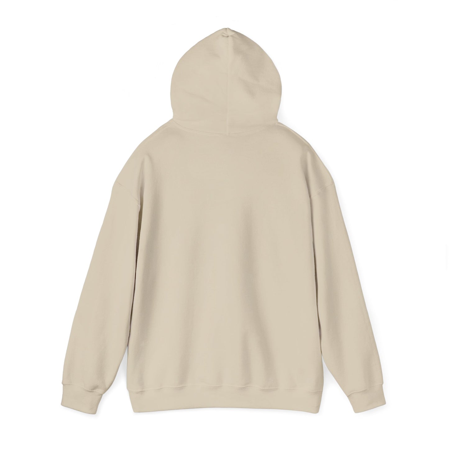 Good News Hooded Sweatshirt Luke 2:10–11