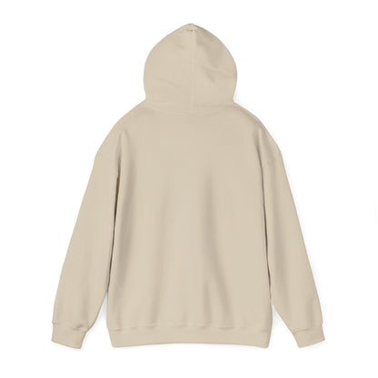 Good News Hooded Sweatshirt Luke 2:10–11
