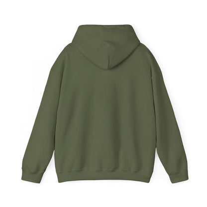 Good News Hooded Sweatshirt Luke 2:10–11